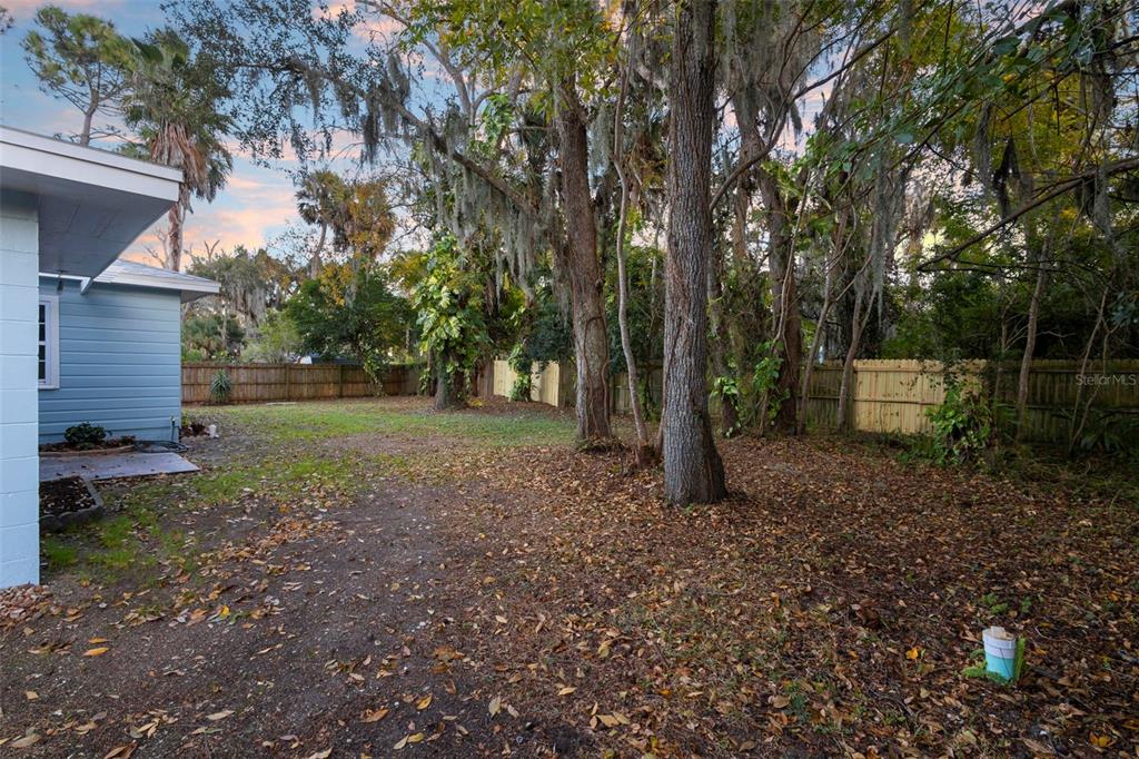 124 Evergreen Avenue Edgewater, FL 32132 - Photo 35 of 36 a view of a backyard with trees