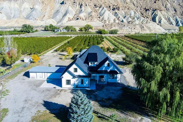 a aerial view of a house with a big yard potted plants and large tree