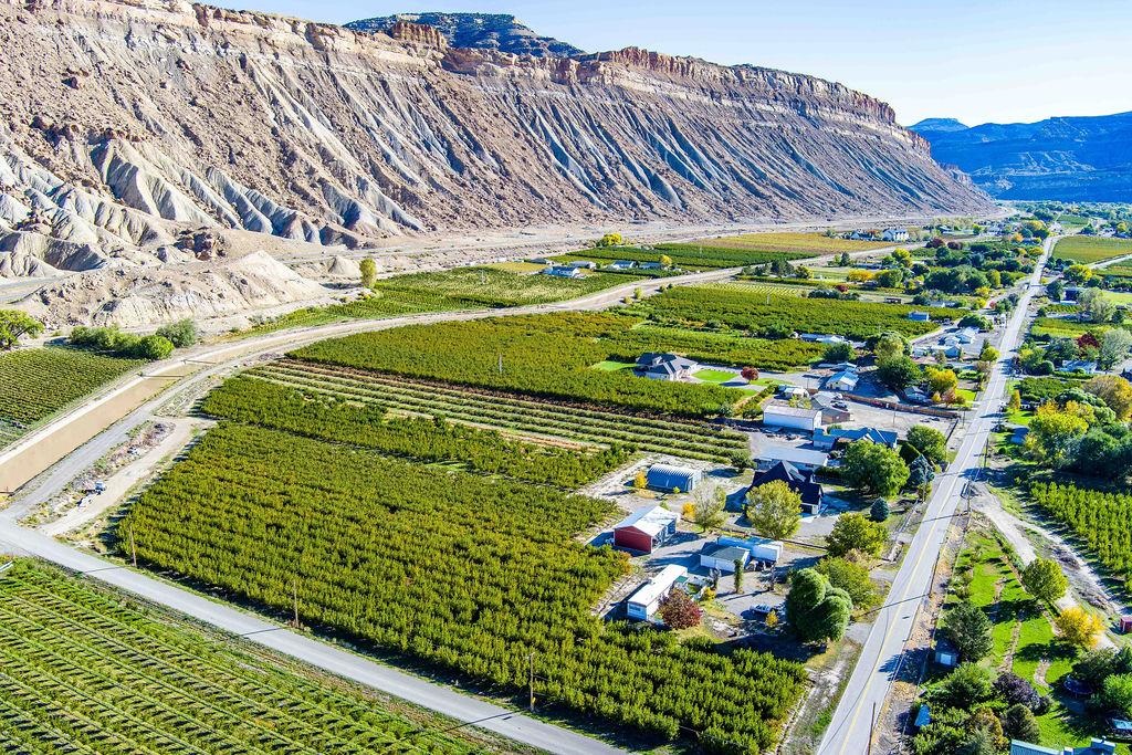 3644 G G 7/10 Road Palisade, CO 81526 - Photo 35 of 42 a view of a garden