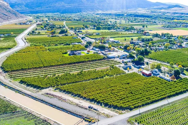 a view of a garden with an outdoor space