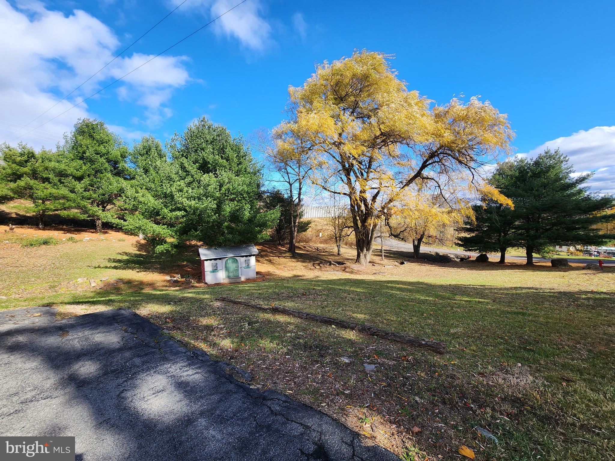 20307 Pond Circle Road Midlothian, MD 21543 - Photo 3 of 29 a view of a yard with an trees