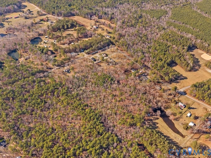21009 Skinquarter Road Moseley, VA 23120 - Photo 6 of 10 a view of a yard