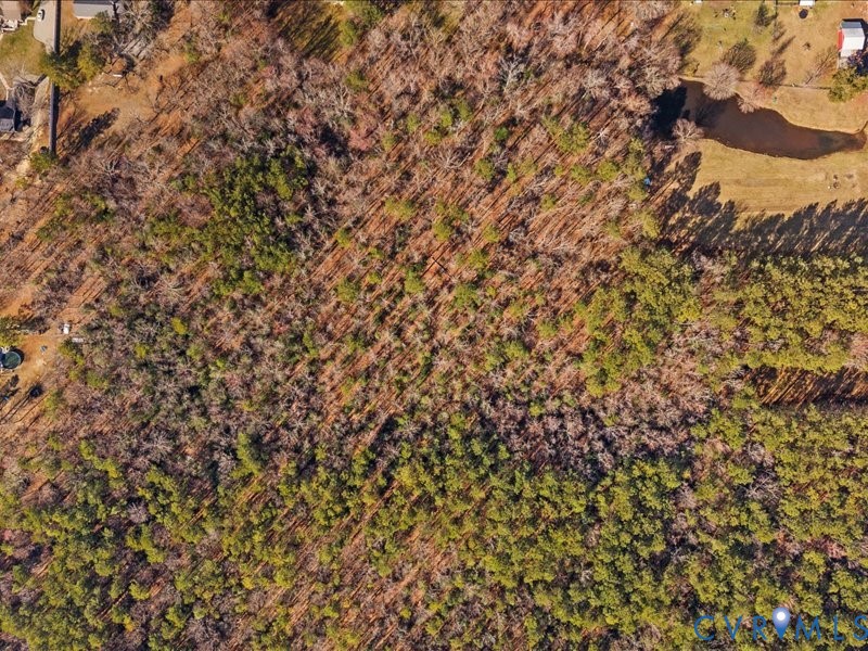 21009 Skinquarter Road Moseley, VA 23120 - Photo 8 of 10 a view of a yard