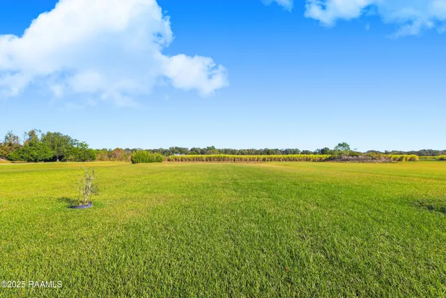 $125,000 | 401 East Jane Street, Abbeville, LA 70510