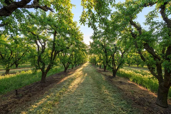 $1,055,000 | 0 Faith Home Road, Ceres, CA 95307