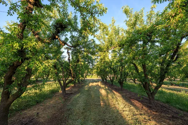 $1,055,000 | 0 Faith Home Road, Ceres, CA 95307