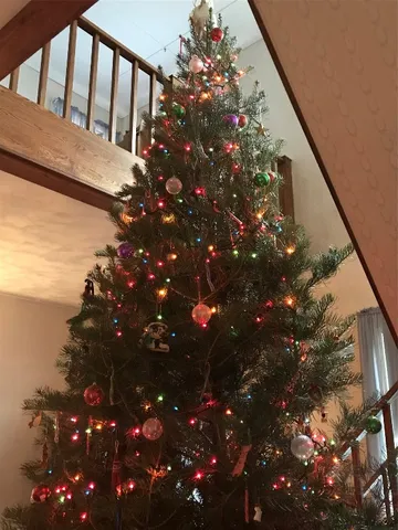 $309,900 | 359 Main Street, Owego, NY 13827