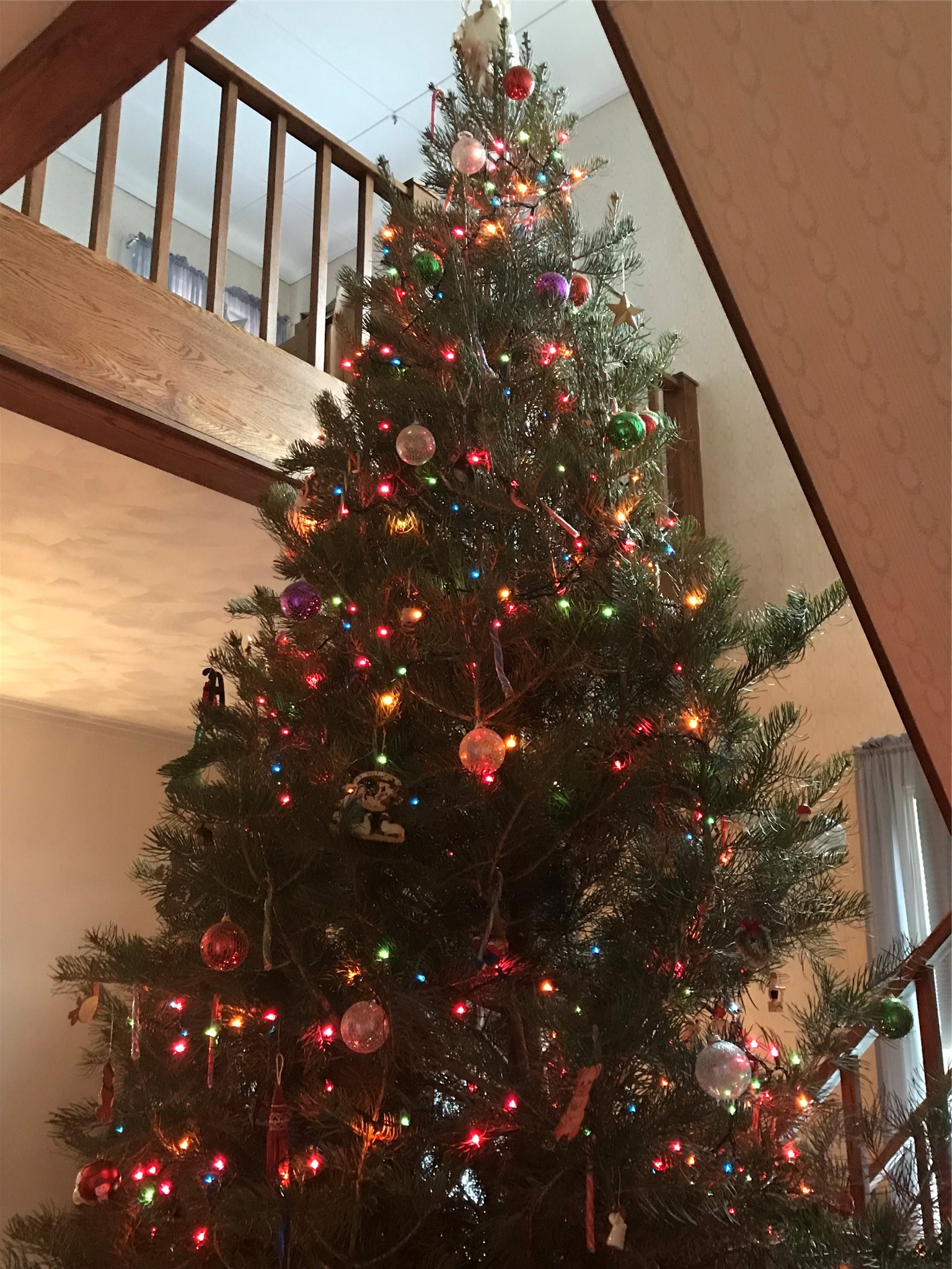 359 Main Street Owego, NY 13827 - Photo 41 of 50