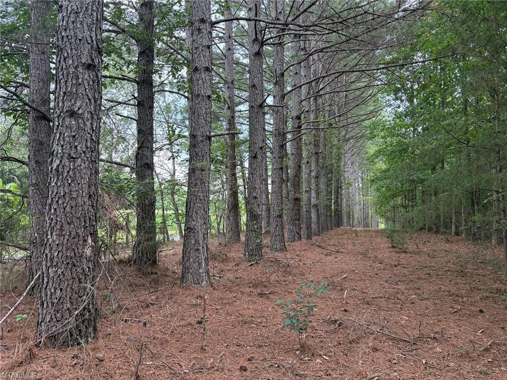 207 Cockerham Road Elkin, NC 28621 - Photo 38 of 42 Gallery Image 38