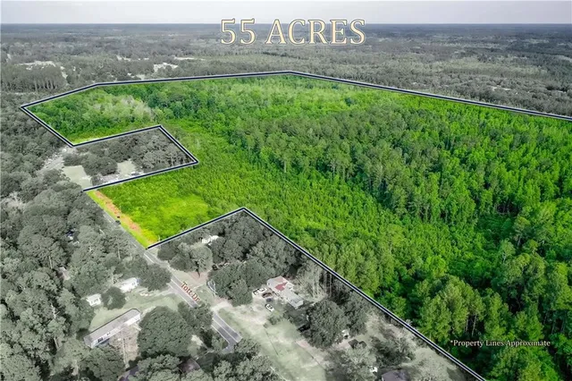 $149,900 | 0 Tot Drive, Blackshear, GA 31516