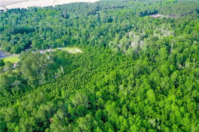 $149,900 | 0 Tot Drive, Blackshear, GA 31516