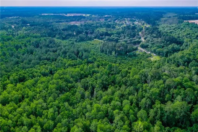 $149,900 | 0 Tot Drive, Blackshear, GA 31516