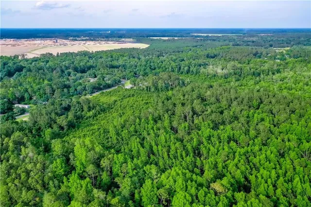 $149,900 | 0 Tot Drive, Blackshear, GA 31516