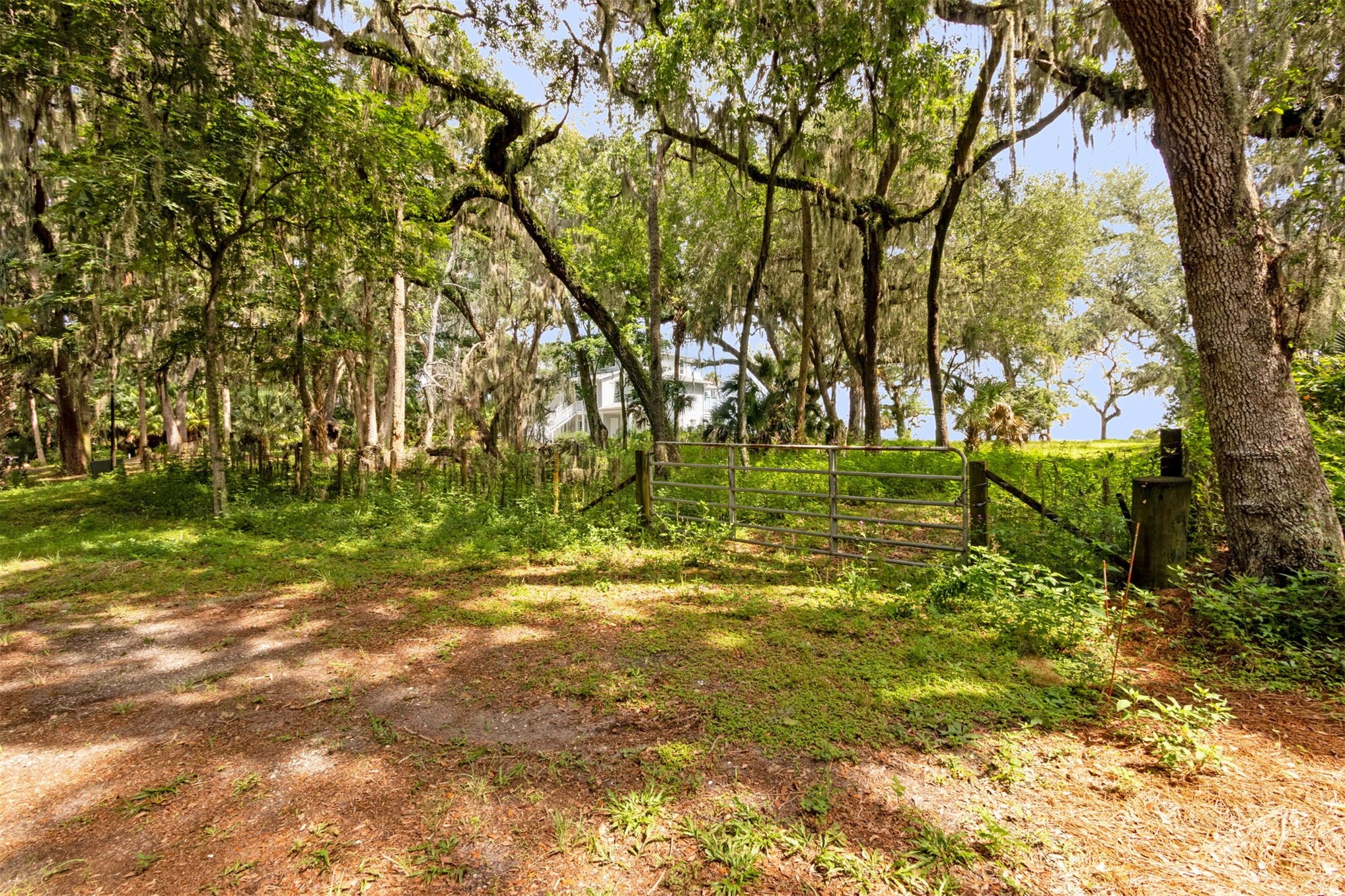 16385 Waterville Road Jacksonville, FL 32226 - Photo 7 of 14 a backyard of a house with lots of green space