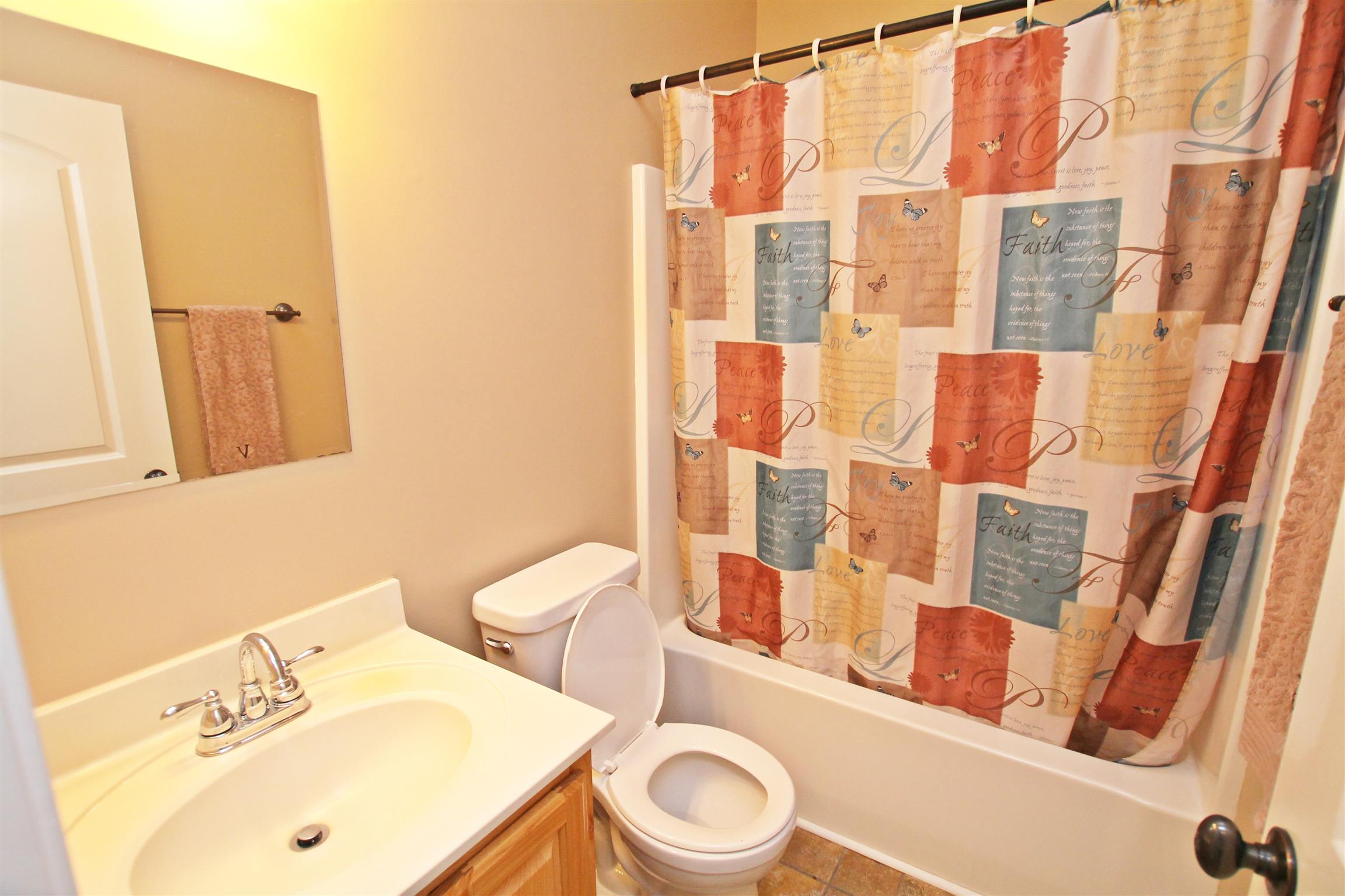 1012 Loganview Way Springfield, TN 37172 - Photo 21 of 30 a bathroom with a sink and a mirror