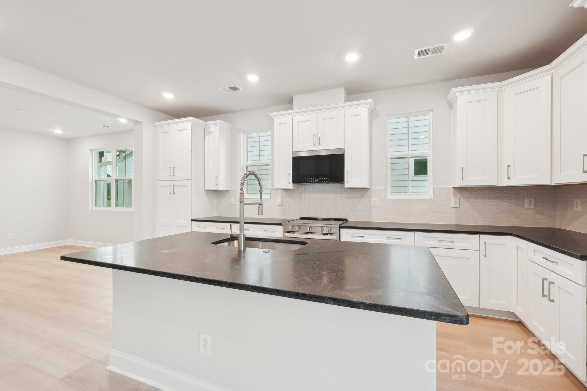 816 Terra Drive Tega Cay, SC 29708 - Photo 6 of 17