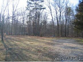 53 Shirey Road Swoope, VA 24479 - Photo 3 of 4 a view of outdoor space with trees