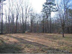 53 Shirey Road Swoope, VA 24479 - Photo 4 of 4 a view of outdoor space with trees