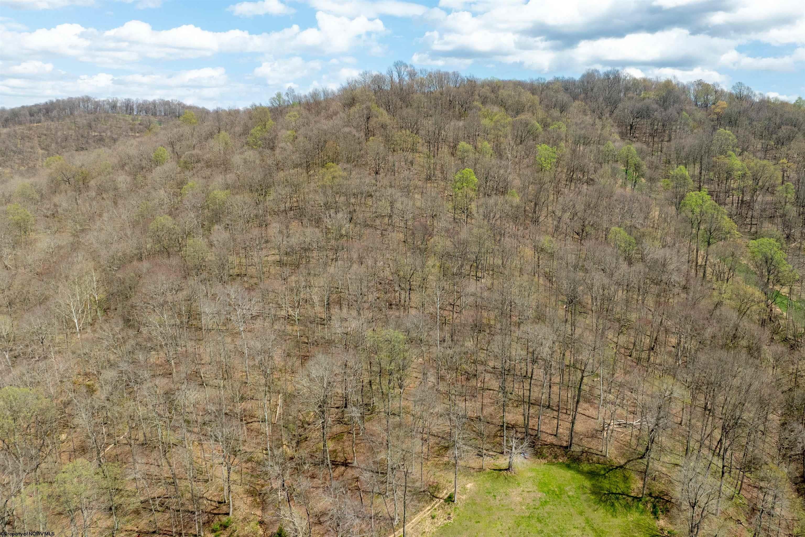 761 Zeb Haught Road Wana, WV 26590 - Photo 45 of 45 Gallery Image 45