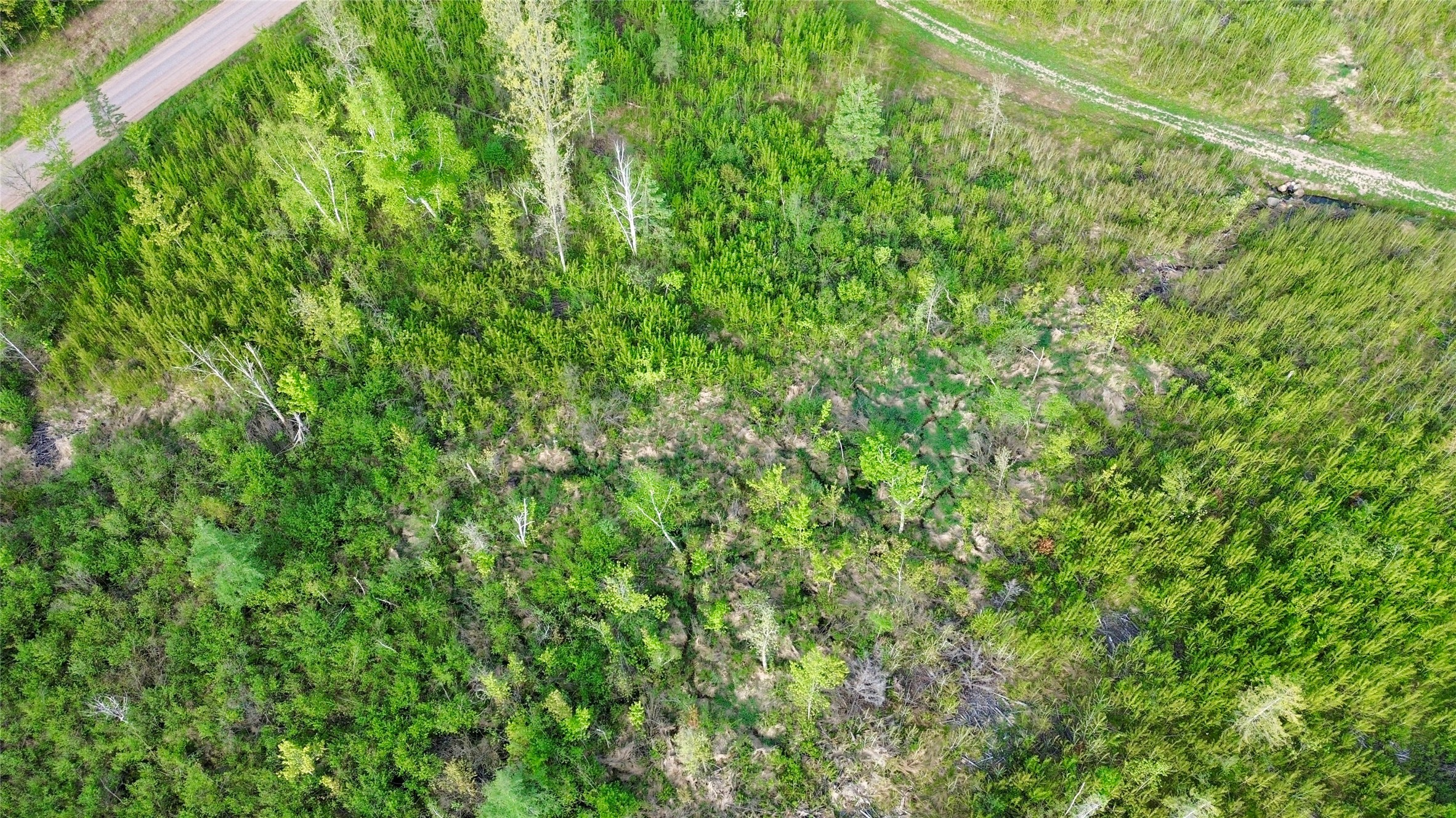 Lot 2 Girod Road Ladysmith, WI 54848 - Photo 19 of 26