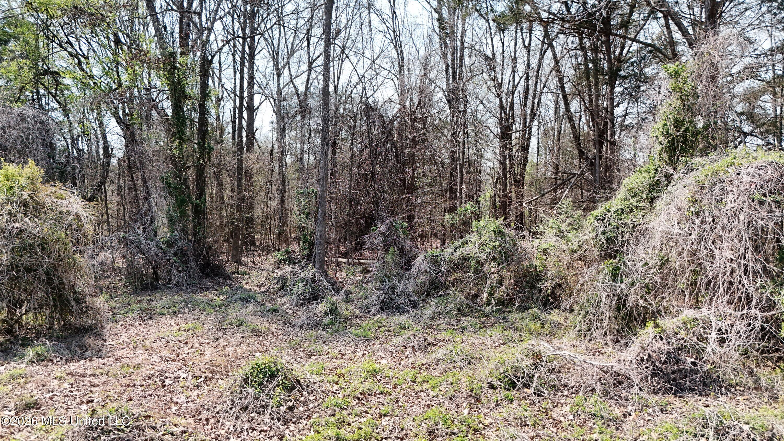 1200 Chulahoma Road Holly Springs, MS 38635 - Photo 43 of 46 DJI_20260321134224_0071_D