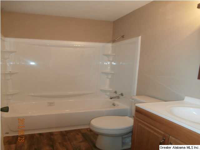 386 Doliska Road Quinton, AL 35130 - Photo 4 of 21