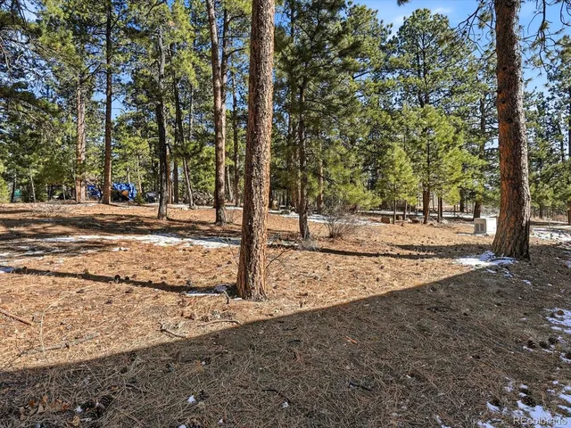 $900,000 | 8220 Iowa Gulch Road, Morrison, CO 80465