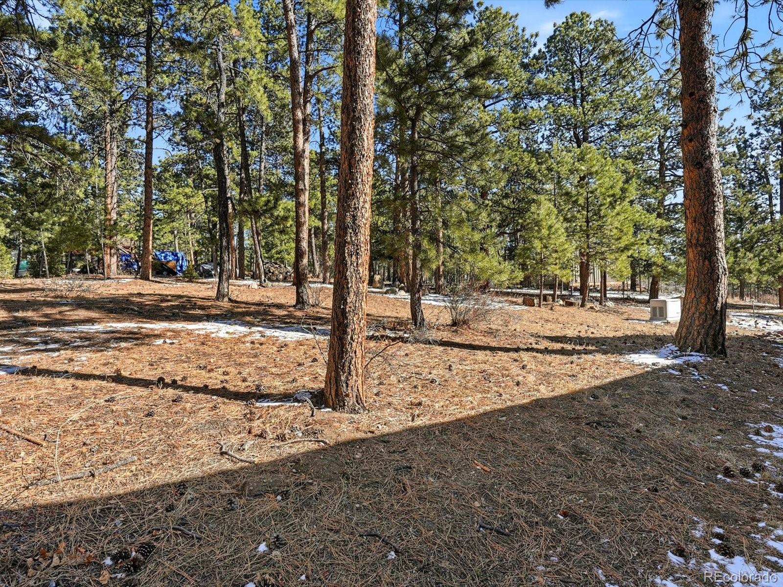 8220 Iowa Gulch Road Morrison, CO 80465 - Photo 40 of 45