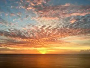 a living room with furniture a floor to ceiling window and an outdoor view