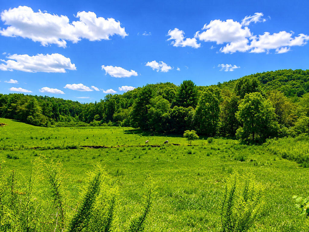 0 Sunny Point Road Murphy, NC 28906 - Photo 5 of 12 Gallery Image 5