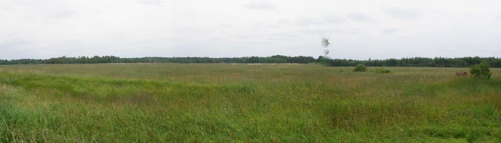 12248 South Bound Road Dafter, MI 49724 - Photo 38 of 61 Gallery Image 38