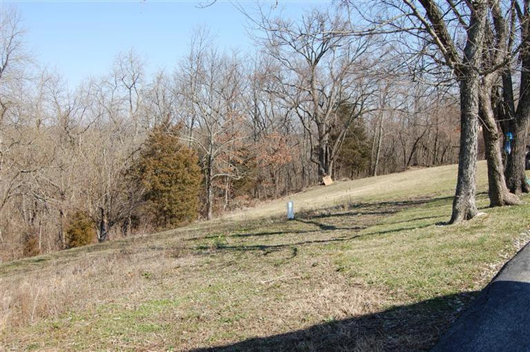 587 North Dividing Ridge Road Sadieville, KY 40370 - Photo 3 of 19 Photo 3