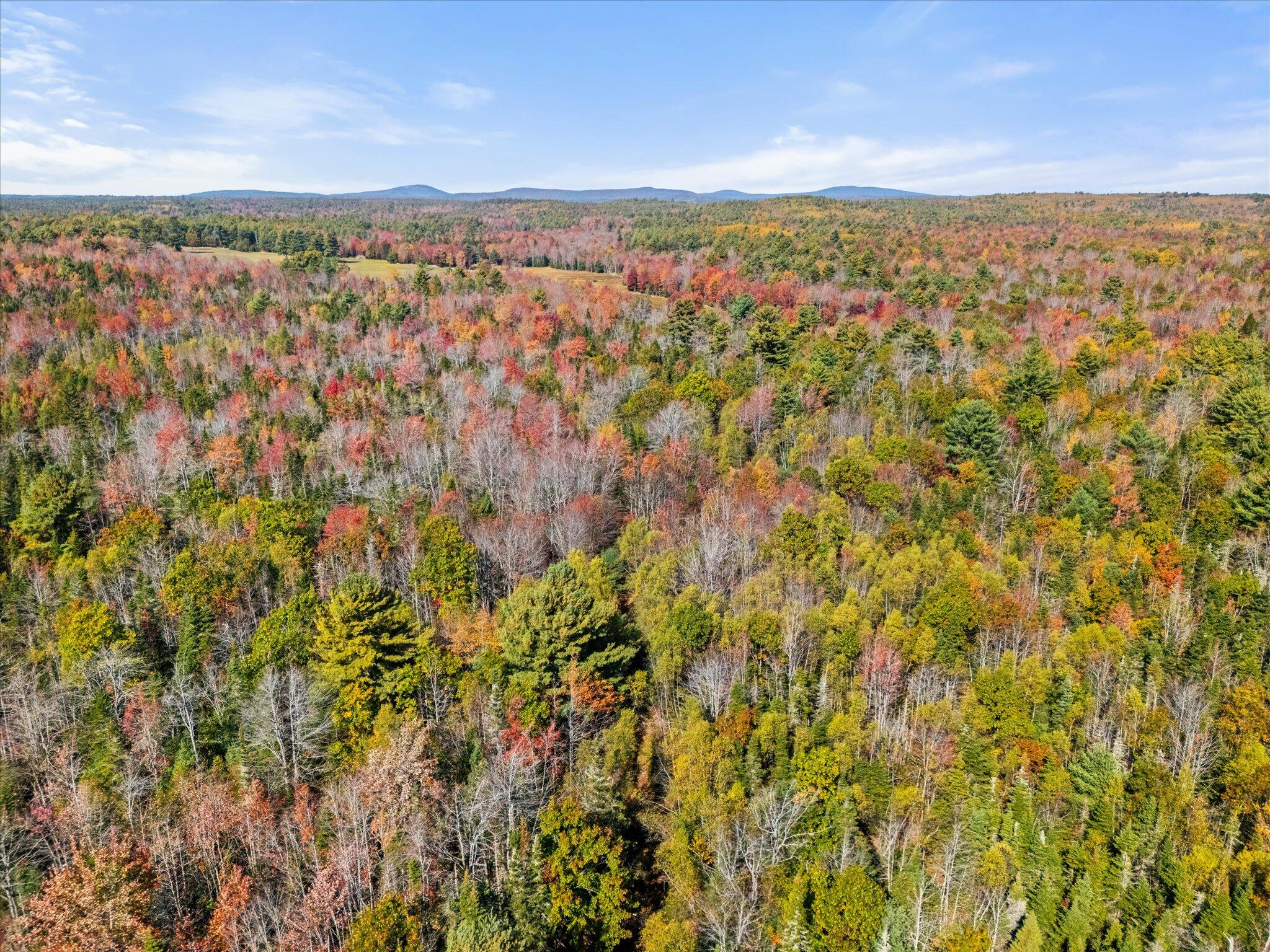 Lot #15 Toddy Pond Road Surry, ME 04684 - Photo 11 of 12