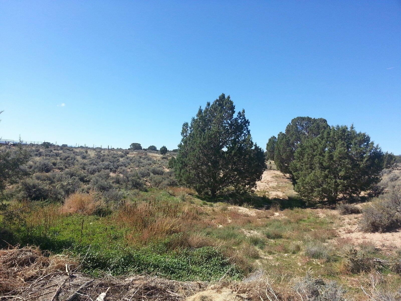 Lot 9 Blk, Unit 9 Cedar City, UT 84721 - Photo 1 of 1 FRONT