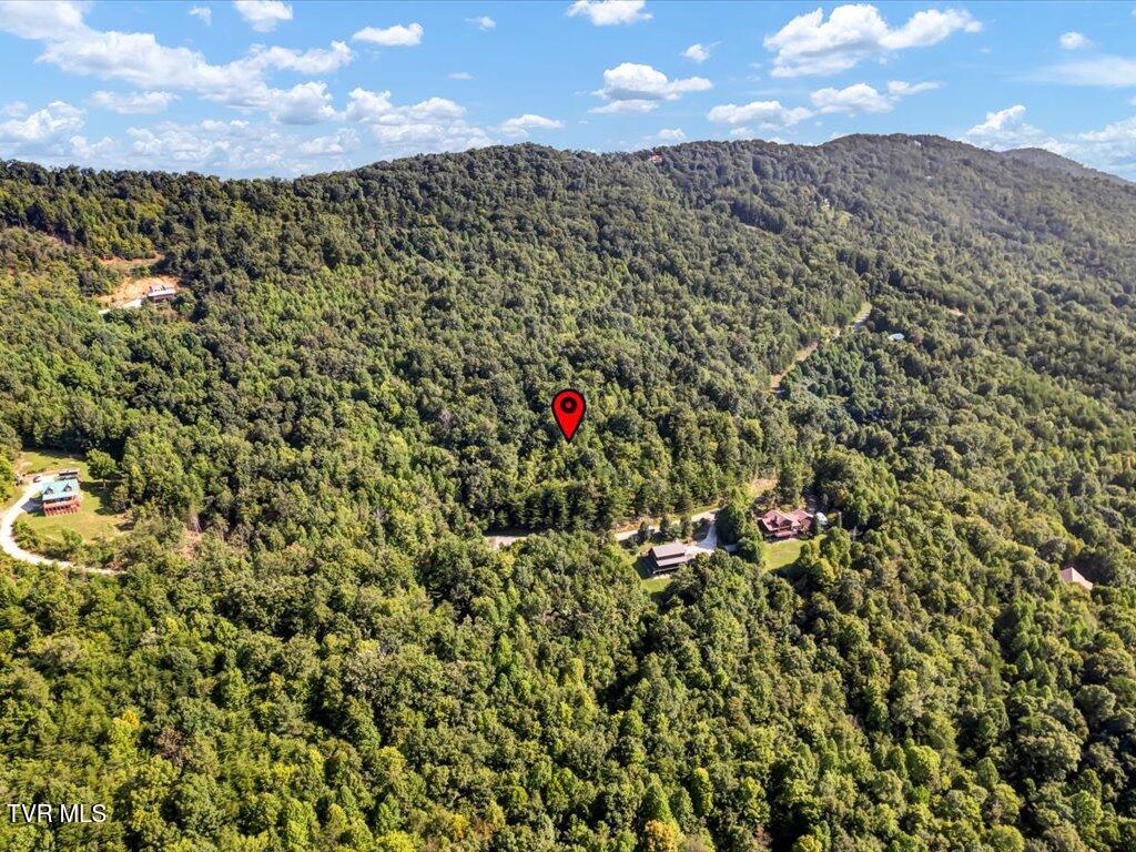 Lot 508 Hidden Springs Road, Unit 508 New Tazewell, TN 37825 - Photo 12 of 33 Lot 508 Hidden Springs Rd - 10