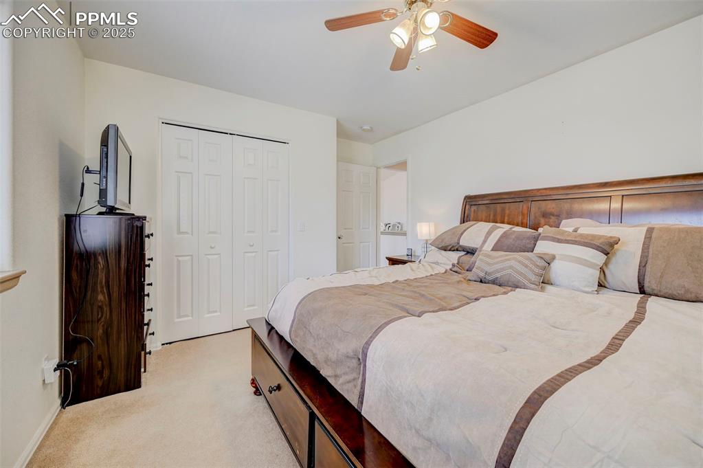 840 West Kelly Road Woodland Park, CO 80863 - Photo 22 of 47 Bedroom with light colored carpet, baseboards, a ceiling fan, and a closet
