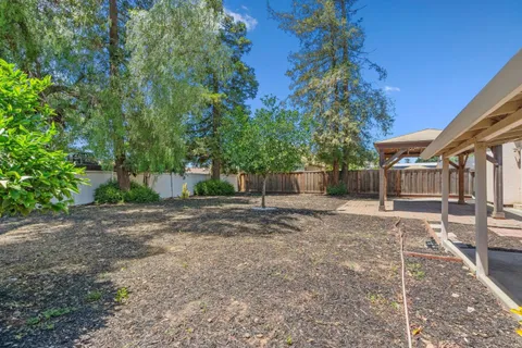 a view of a yard with plants and a large tree