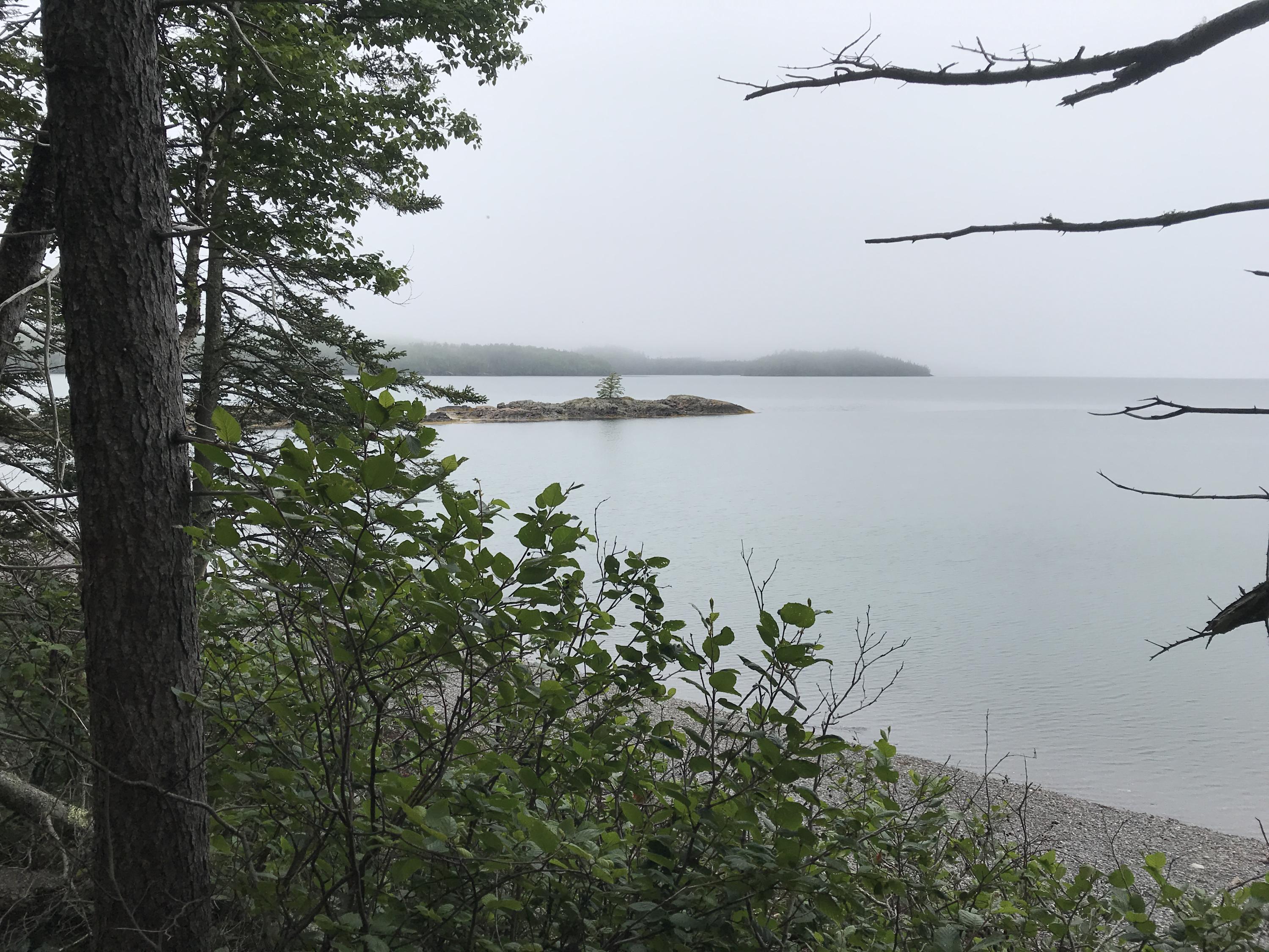 488 North Lubec Road Lubec, ME 04652 - Photo 81 of 120 IMG_1702