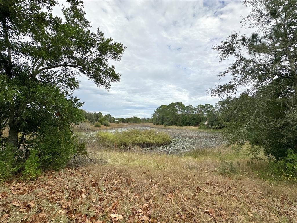 7414 Acorn Circle Spring Hill, FL 34606 - Photo 44 of 50 a view of lake with green space