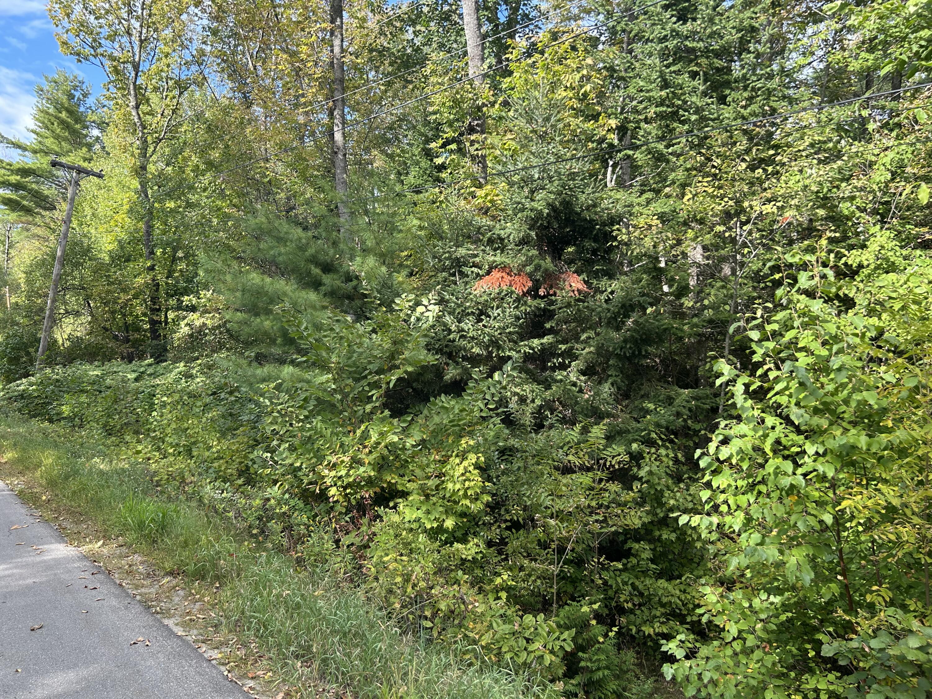 14 Ridge Road Corinth, ME 04427 - Photo 2 of 3 IMG_0870