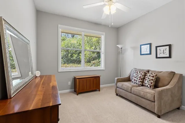 a backyard of a house with yard and tree