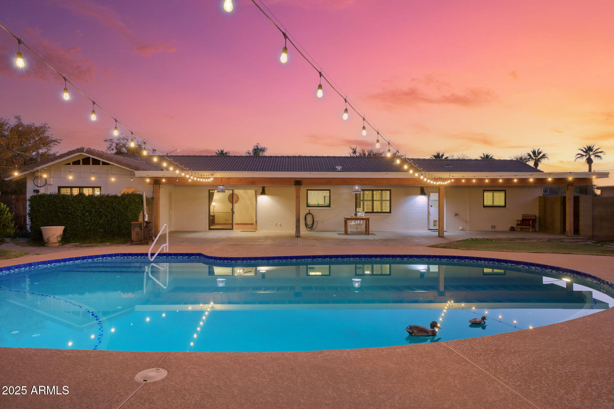 3542 East Camelback Road Phoenix, AZ 85018 - Photo 19 of 54 Inviting pool night or day