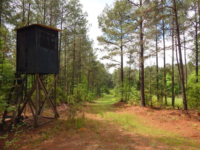 0 Sam Leake Road Woodville, MS 39669 - Photo 1 of 1 Main View