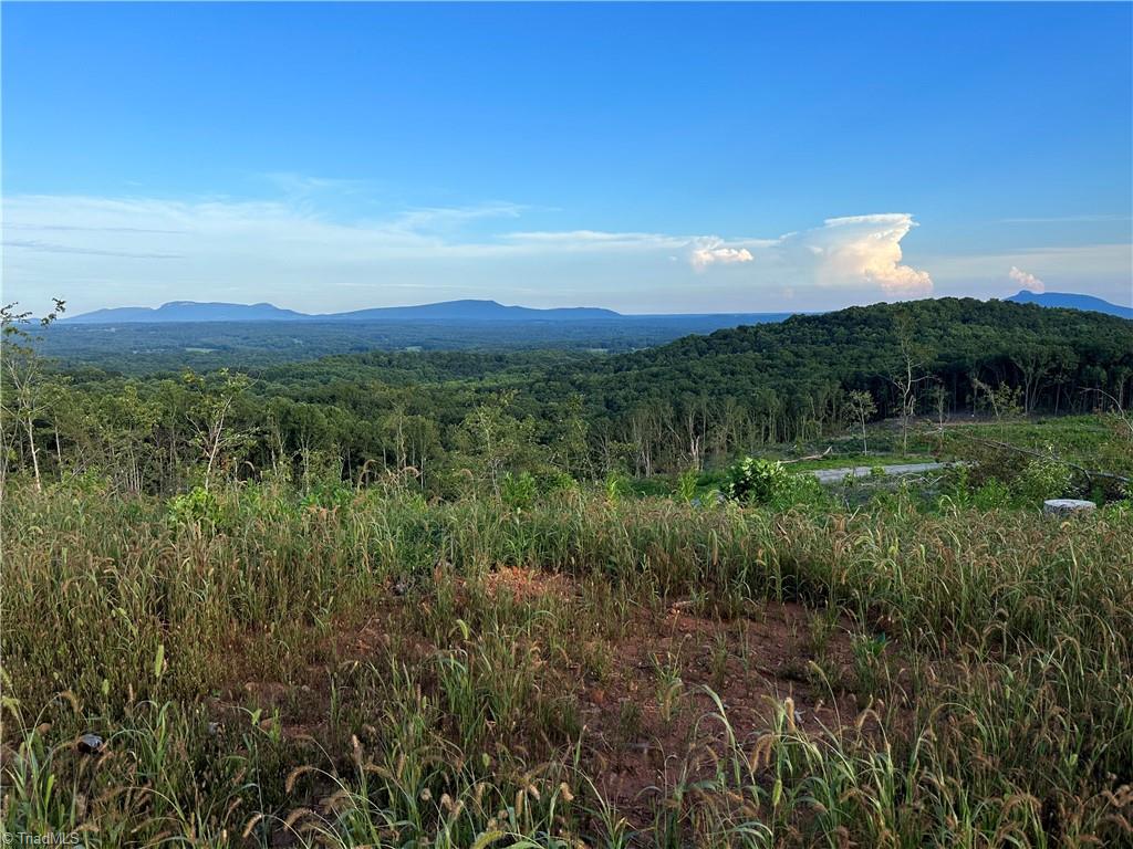 6 Howell Road Pilot Mountain, NC 27041 - Photo 1 of 29 Gallery Image 1