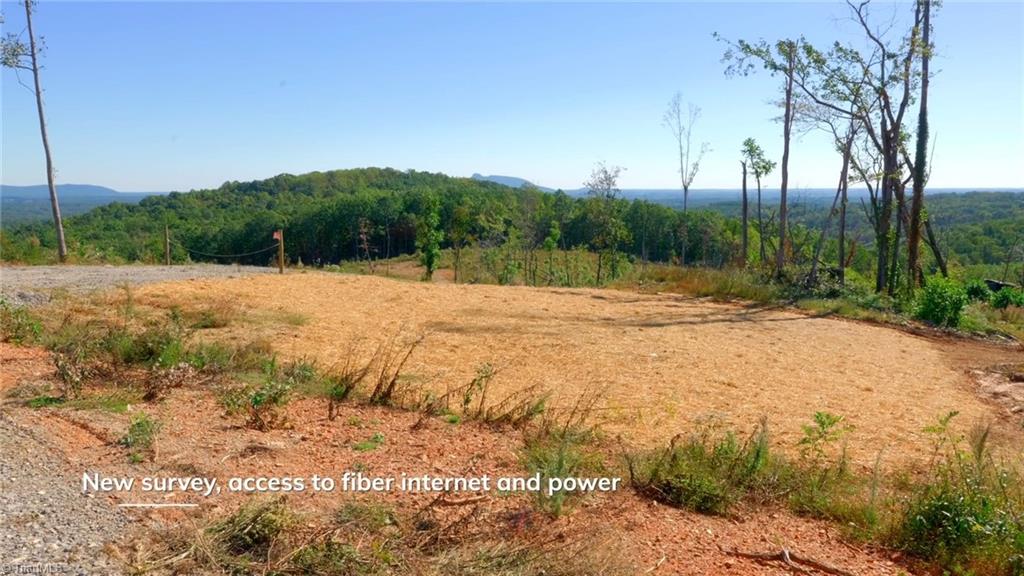 6 Howell Road Pilot Mountain, NC 27041 - Photo 11 of 29 Gallery Image 11
