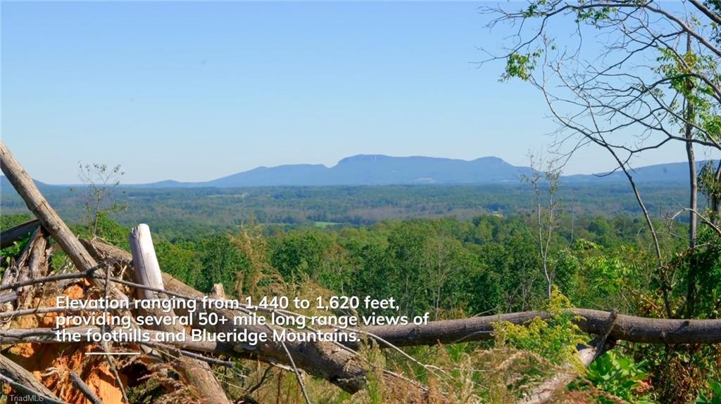 6 Howell Road Pilot Mountain, NC 27041 - Photo 15 of 29 Gallery Image 15