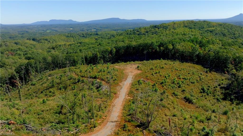6 Howell Road Pilot Mountain, NC 27041 - Photo 20 of 29 Gallery Image 20