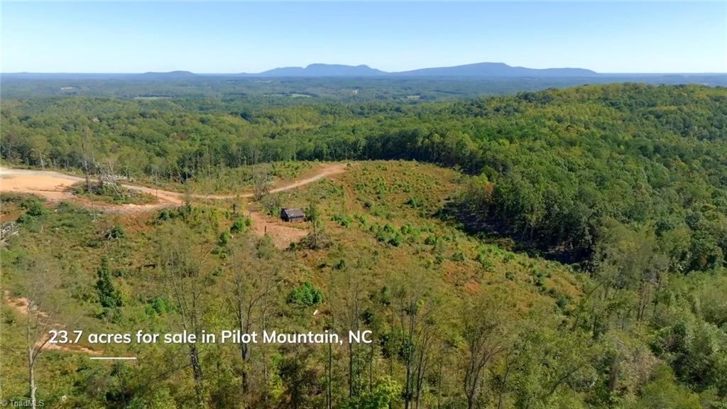 6 Howell Road Pilot Mountain, NC 27041 - Photo 4 of 29 Gallery Image 4
