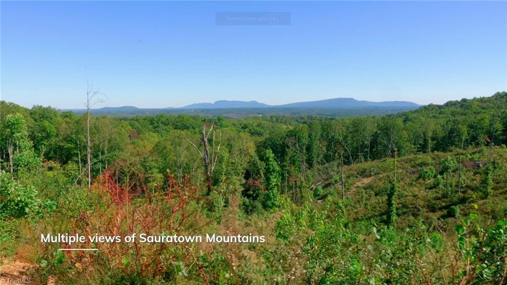 6 Howell Road Pilot Mountain, NC 27041 - Photo 10 of 29 Gallery Image 10