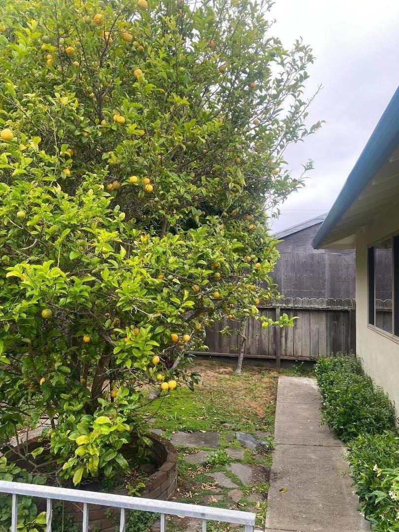 Dell Road Pacifica, CA 94044 - Photo 37 of 42